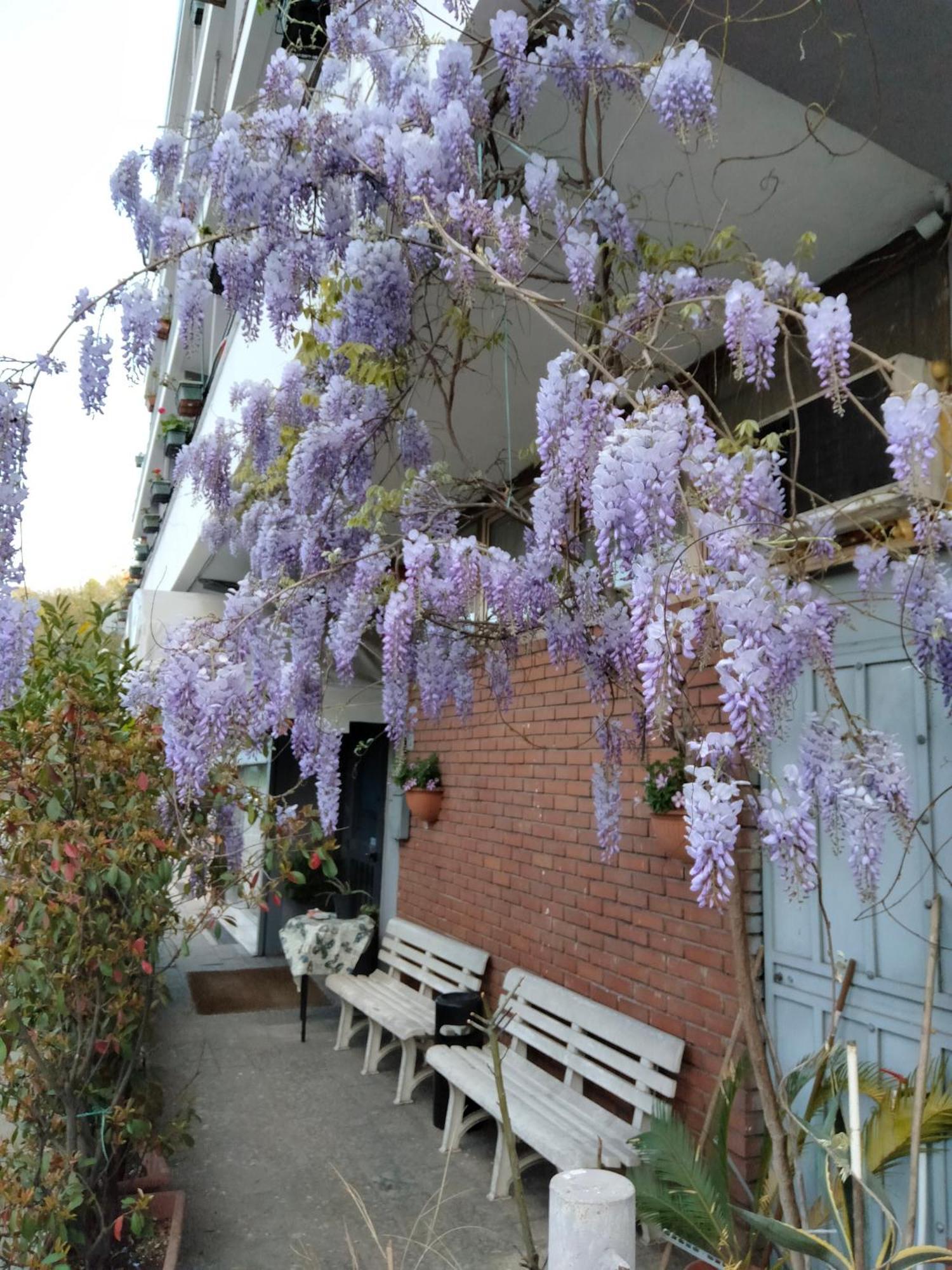 Hotel Lombardia Seveso Exterior photo